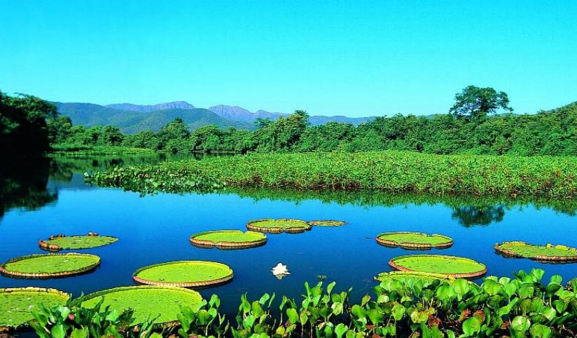 pantanal.jpg