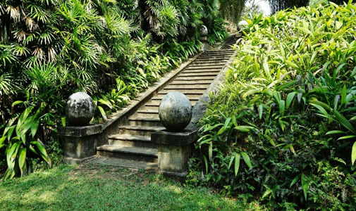 بنر ایرلاین