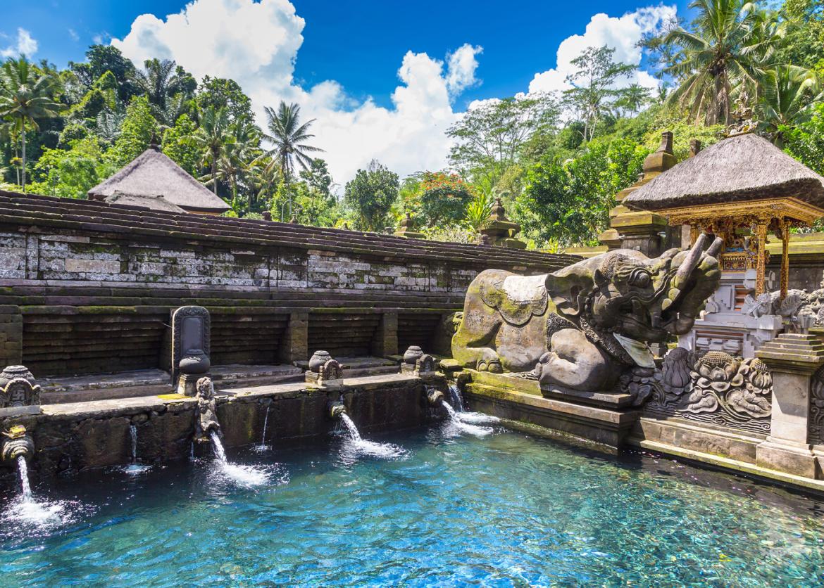 bali (1).jpg