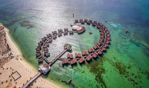 بنر ایرلاین