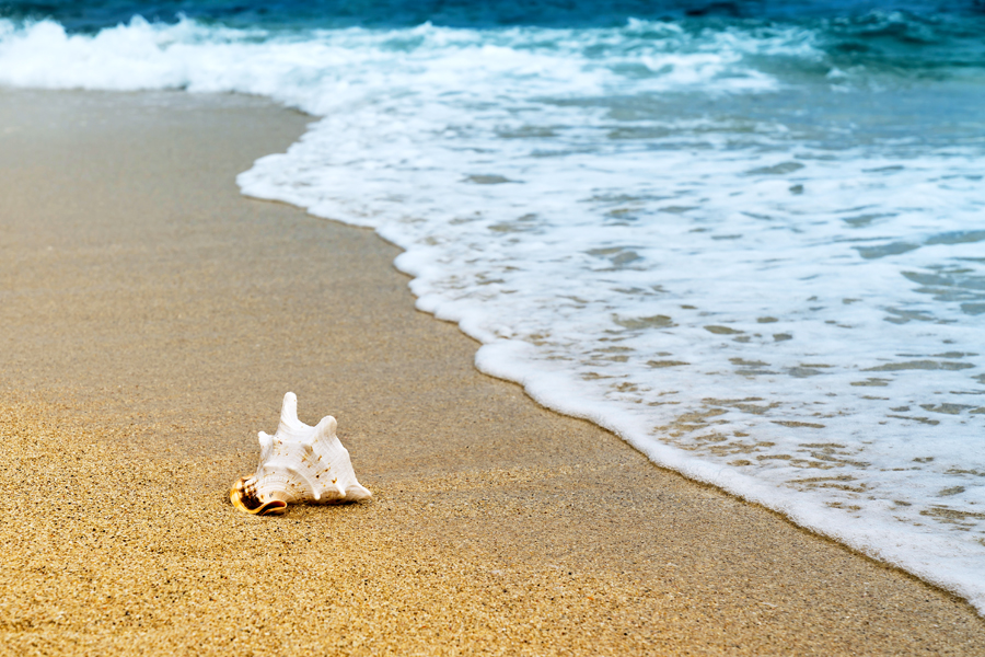 Generic-beach.jpg