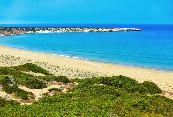 CYPRUS BEACH.jpg