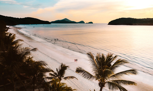 بنر ایرلاین