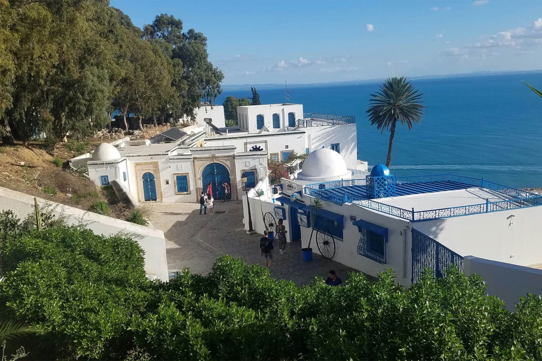 tunisia-d-085221.jpg