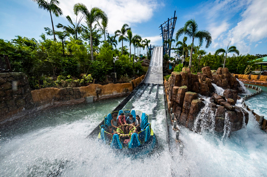 بنر ایرلاین