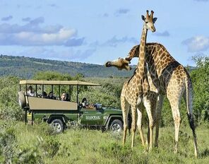 تور آفریقای جنوبی 